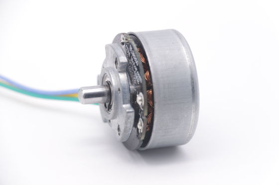 DBL3825 12V 24V BLDC Motor Wysokiego momentu obrotowego Fascial Gun Mini DC Brushless Motor