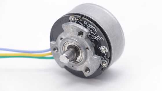 DBL3825 12V 24V BLDC Motor Wysokiego momentu obrotowego Fascial Gun Mini DC Brushless Motor