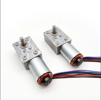 Wysoki moment obrotowy DC Worm Gear Motor Niska prędkość Power Off Self Locking Motor Z Encoderem