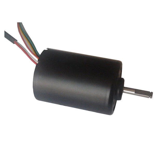 DBL4260 30W wysokiego momentu obrotowego prądu stałego bezszczotkowego pompy wodnej 24 Volt BLDC Motor