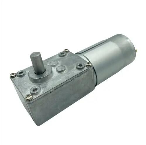 Silnik biegów DC z wysokim momentem obrotowym 12V 555 Worm Gear Motor 24V Niska prędkość
